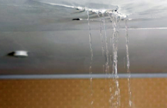 Detección y Reparación